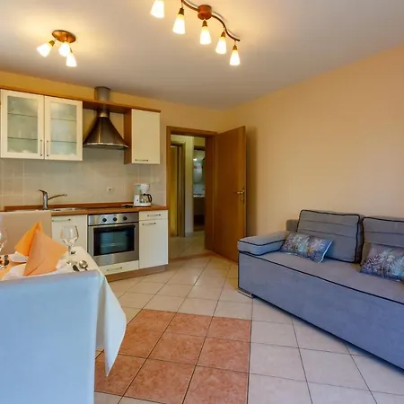 Amfora * ツリクヴェニツァ