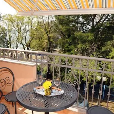 Amfora * 크리크베니카